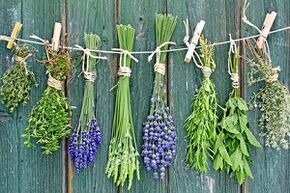 erbe per trattare i funghi delle unghie dei piedi